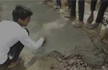 Haryana school students repair roads; 